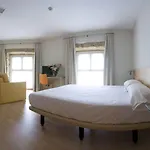 Arrizul * 圣塞瓦斯蒂安